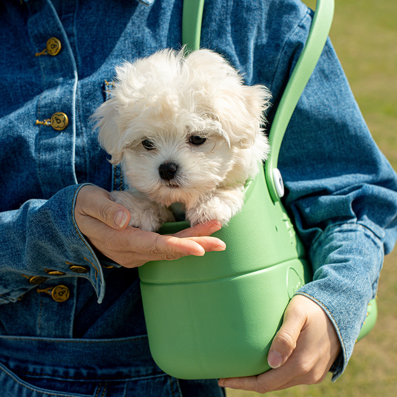 Pet Carrier Bag 4
