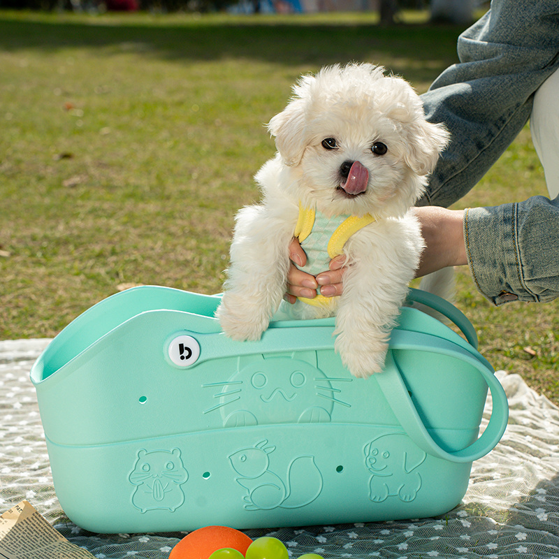 Pet Carrier Bag 2